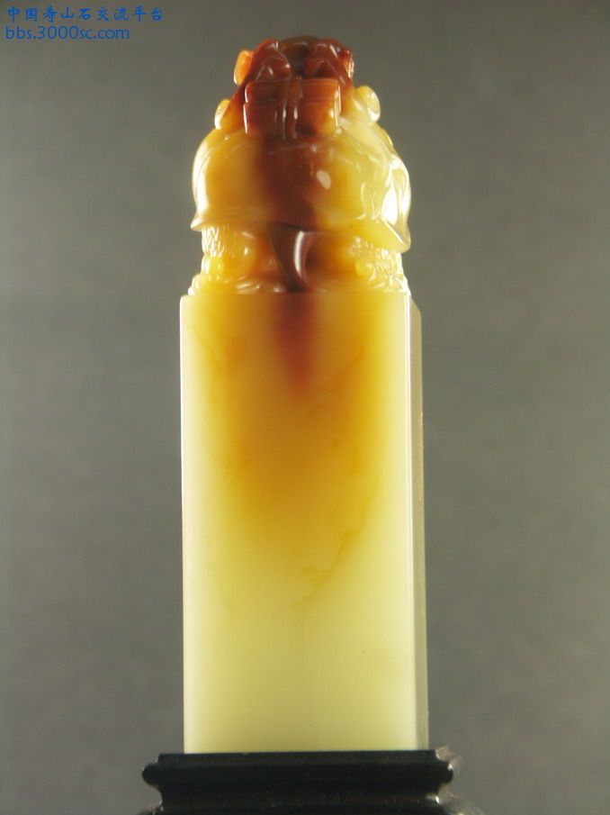 64c.JPG