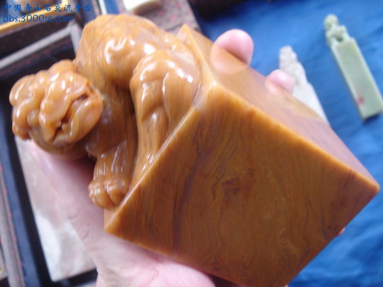 DSC01430_调整大小.JPG