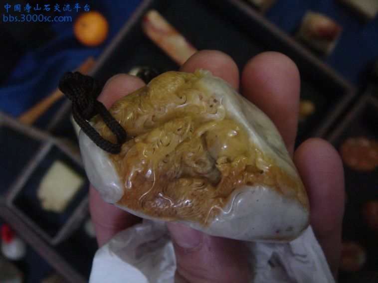 DSC02701_缩小大小.JPG