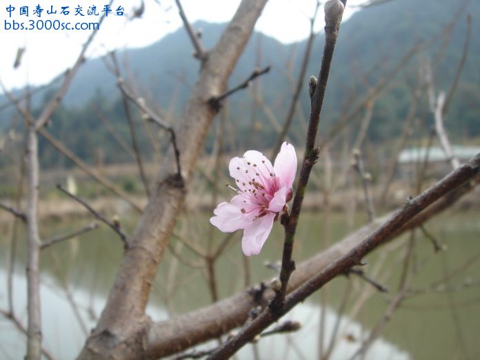 DSC03102_调整大小.JPG