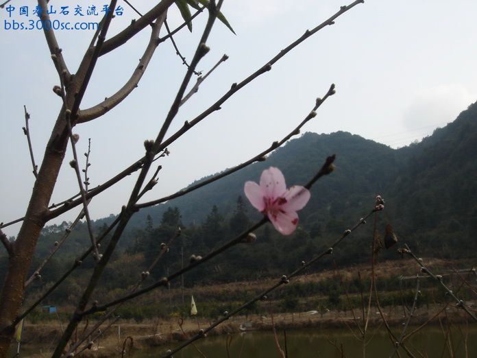 DSC03103_调整大小.JPG