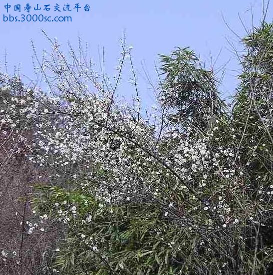灵峰 005.jpg