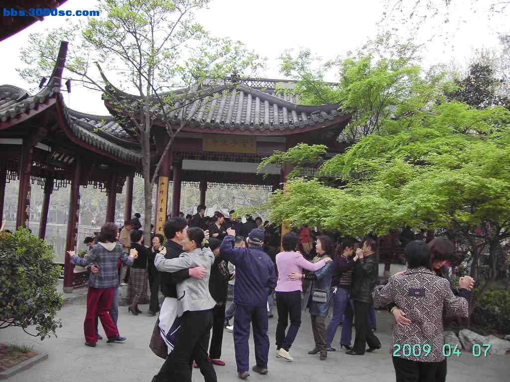 白堤上的桃花和杨柳 010.jpg