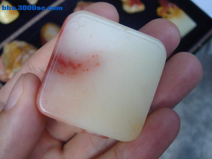 DSC07608_调整大小.JPG