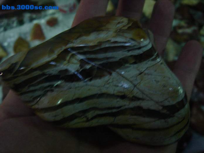 DSC07750_调整大小.JPG
