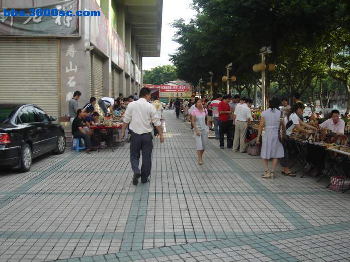 DSC07849_调整大小.JPG