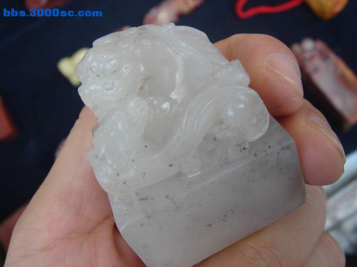 DSC07856_调整大小.JPG