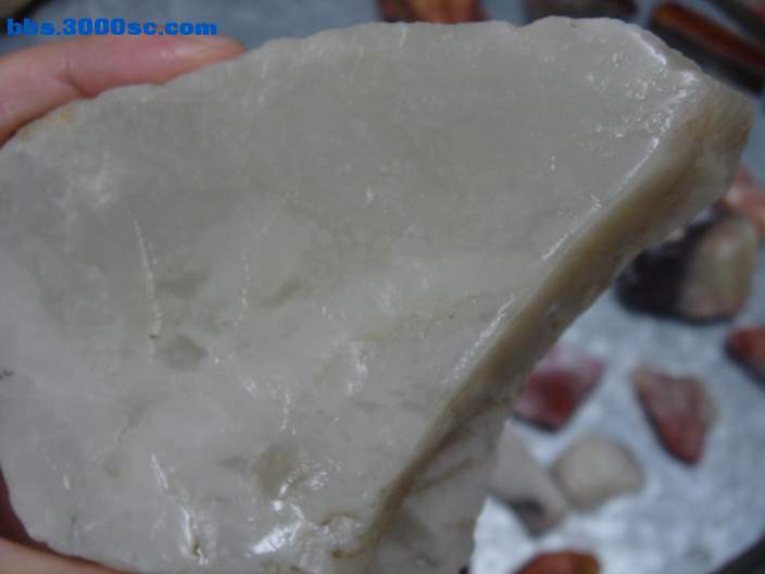 DSC08087_调整大小.JPG
