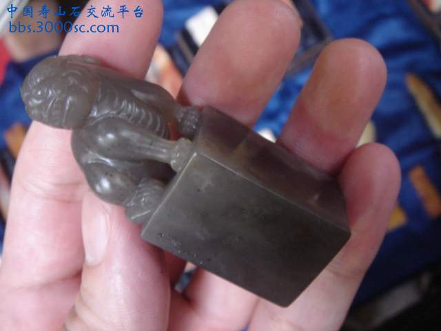 DSC08475.JPG