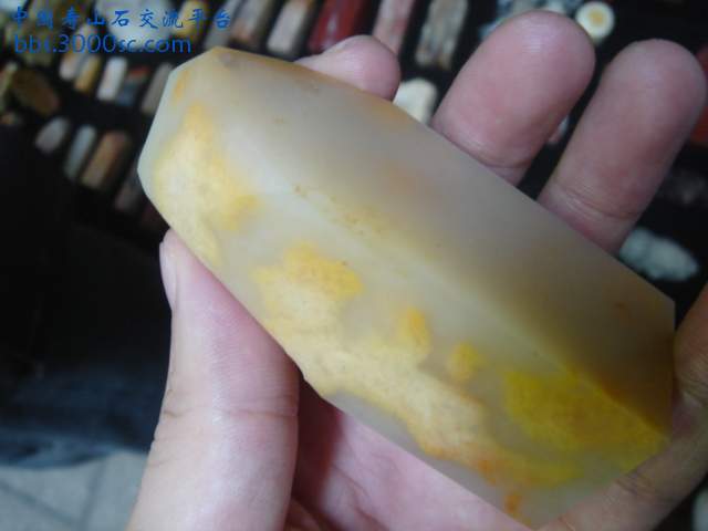 DSC08477.JPG