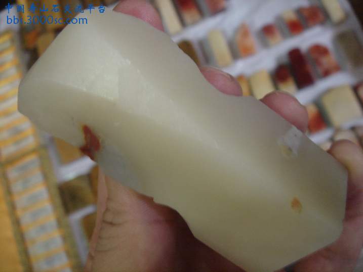 DSC08674_调整大小.JPG