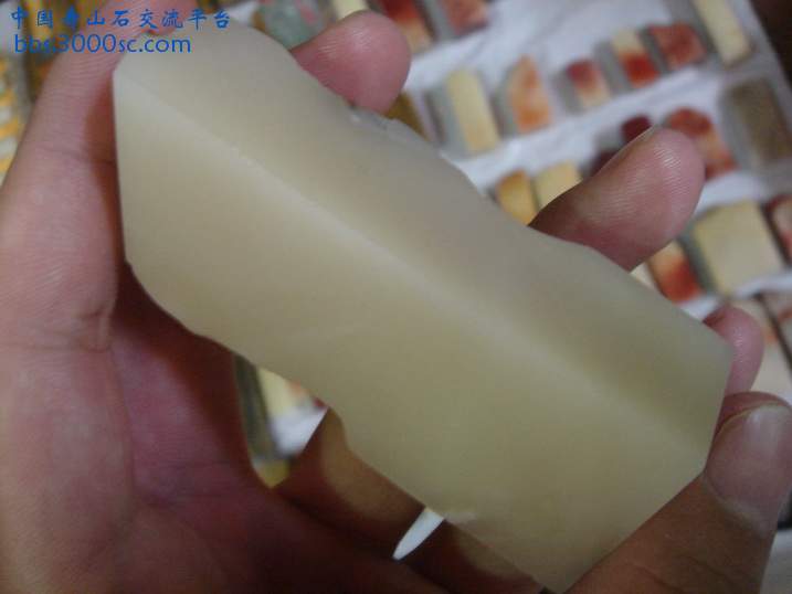 DSC08673_调整大小.JPG