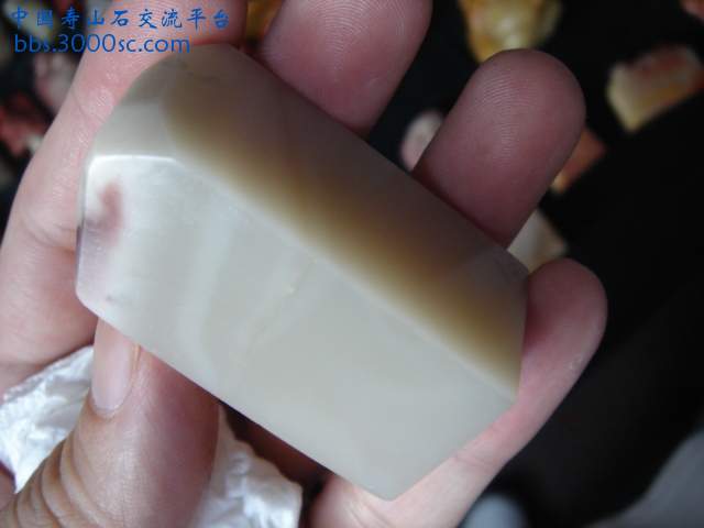 DSC08774.JPG