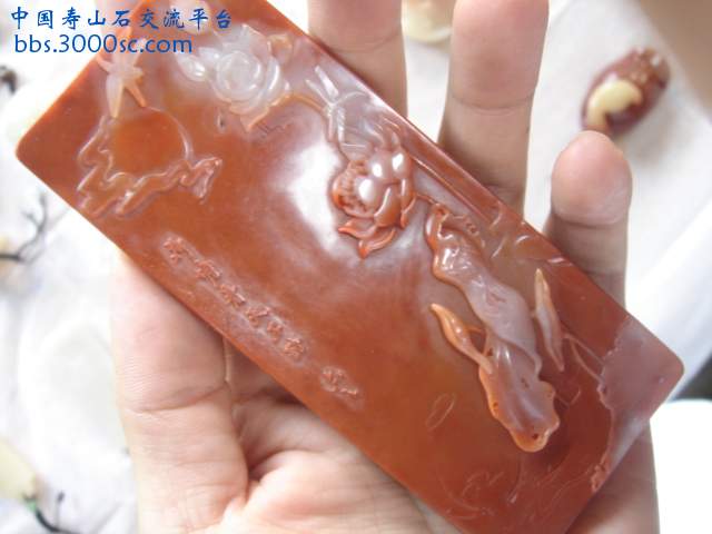 DSC08780.JPG