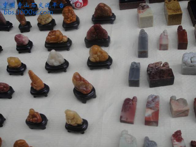 DSC01398.JPG