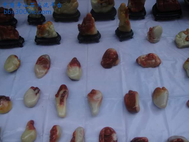 DSC01407.JPG