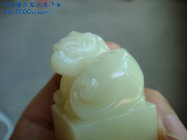 DSC02700.JPG
