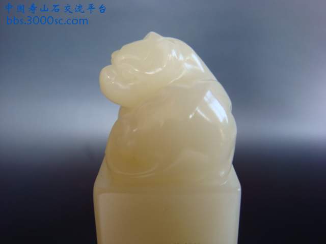 DSC02710.JPG