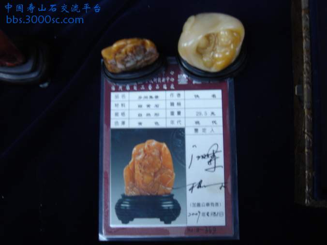 DSC02773_调整大小.JPG