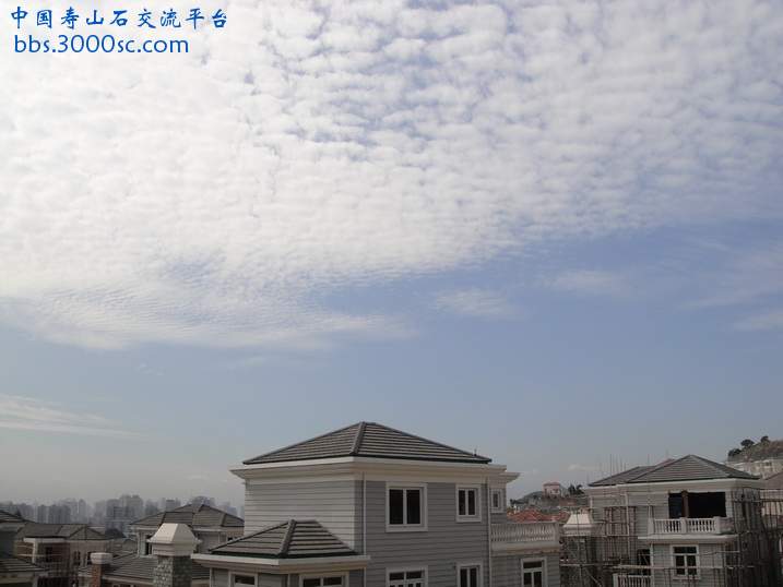 DSC02101_调整大小.JPG