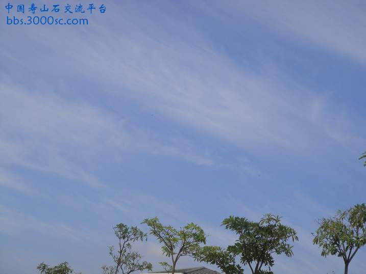 DSC02102_调整大小.JPG