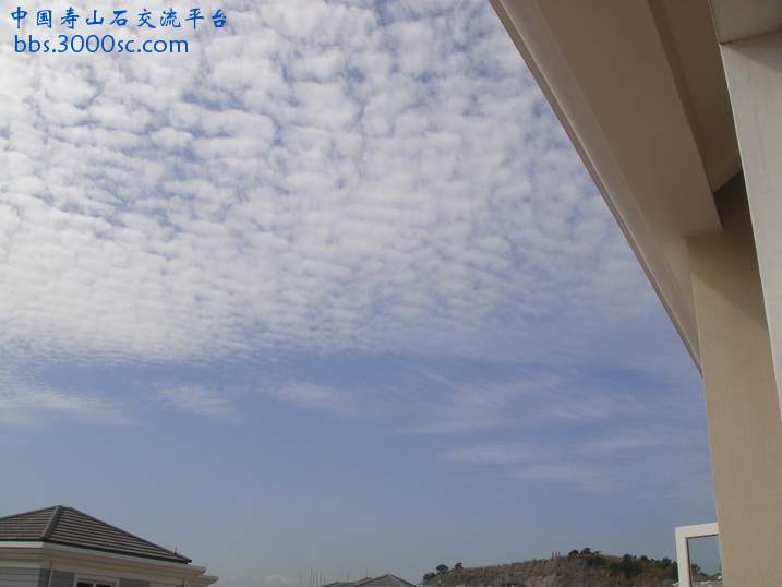 DSC02100_调整大小.JPG