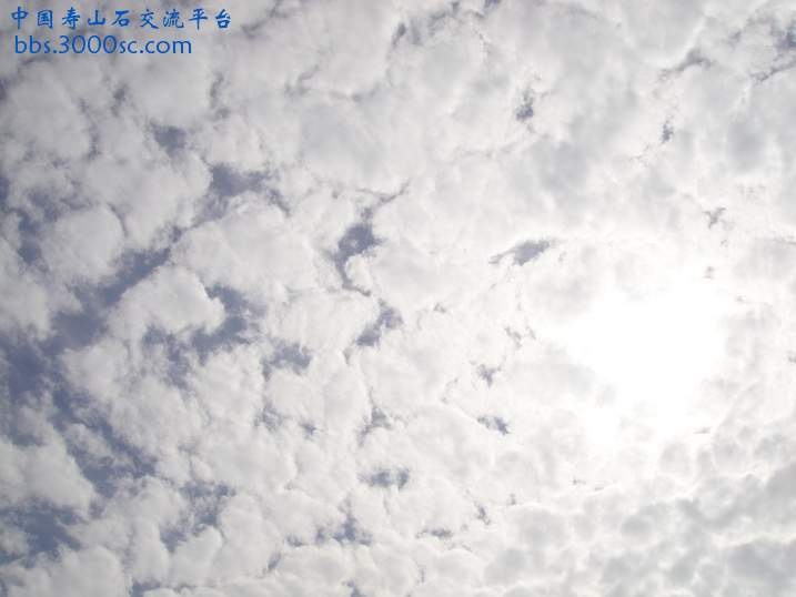 DSC02099_调整大小.JPG