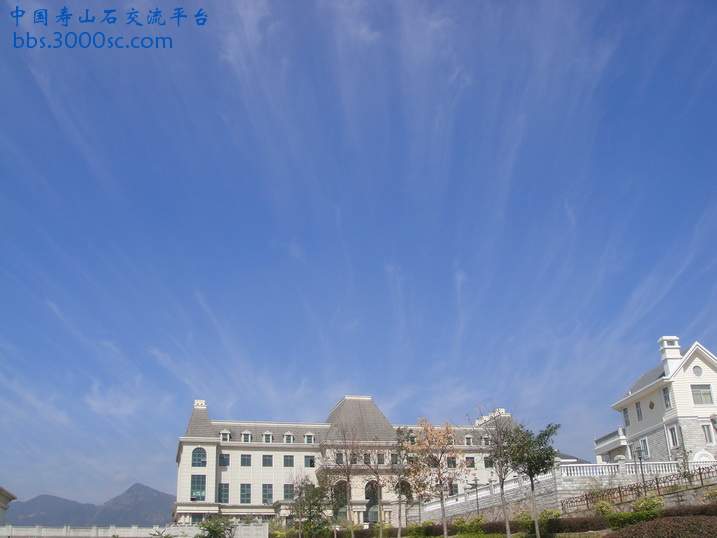 DSC02105_调整大小.JPG