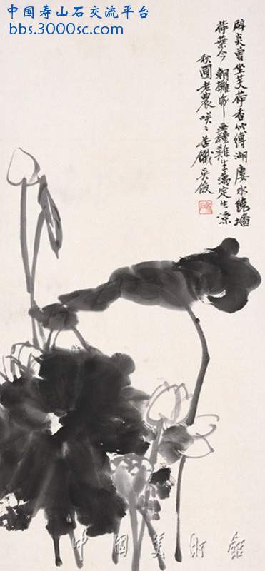 200806_wcs_zhx_缩小大小.jpg