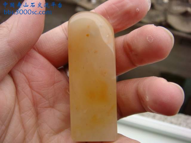 DSC03143.JPG
