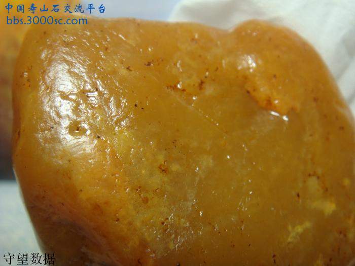 DSC01062.JPG