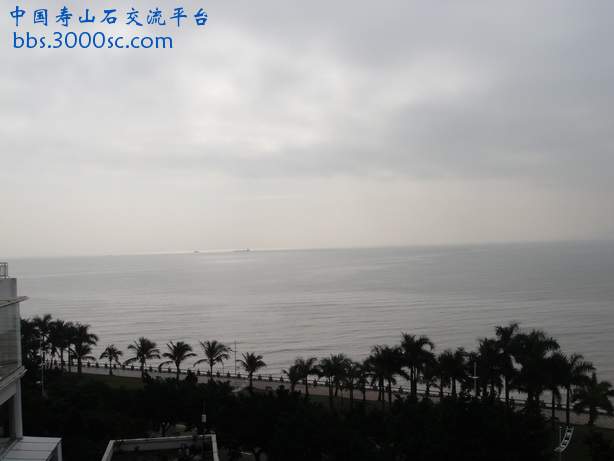 DSC03315_调整大小.JPG