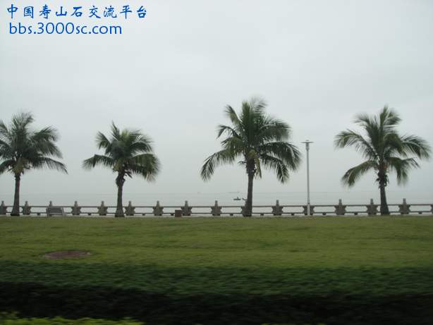 DSC03329_调整大小.JPG