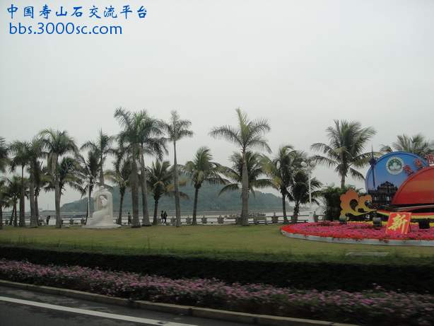 DSC03344_调整大小.JPG