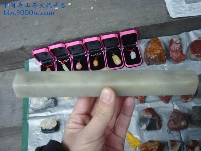 DSC03806.JPG