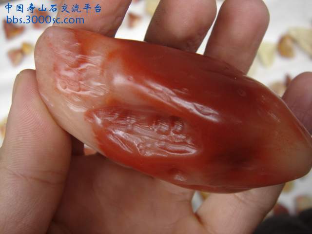 DSC03810.JPG