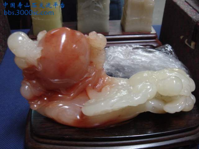 DSC03949.JPG