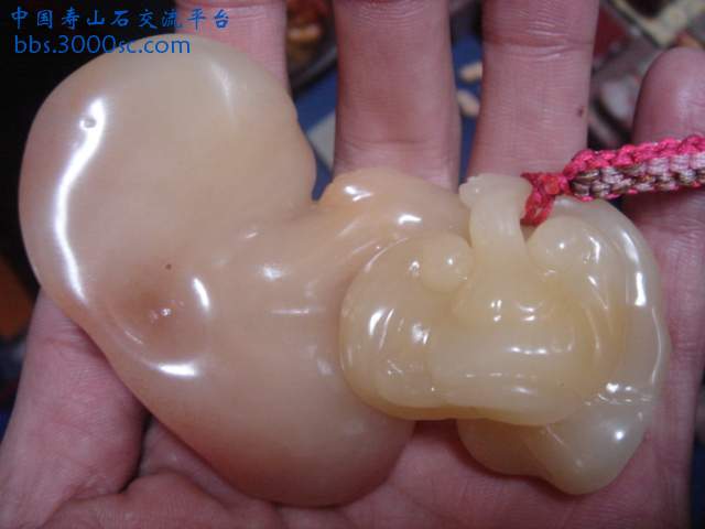 DSC03999.JPG