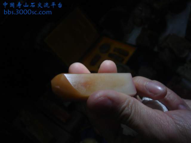 DSC04108.JPG