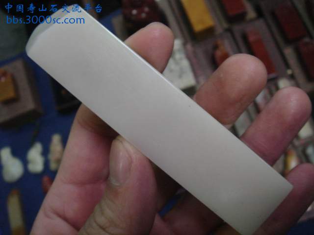 DSC04114.JPG