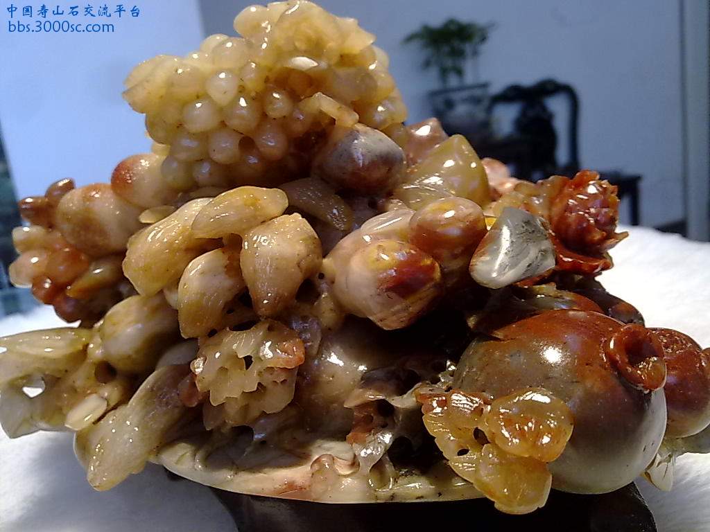 201004081114.jpg