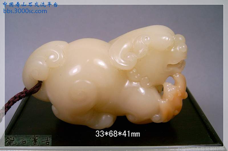 SUC39526.jpg
