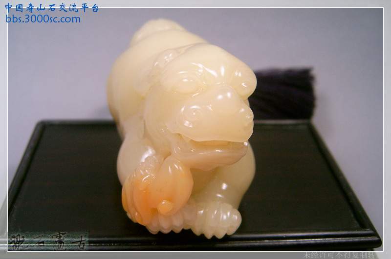 SUC39528.jpg
