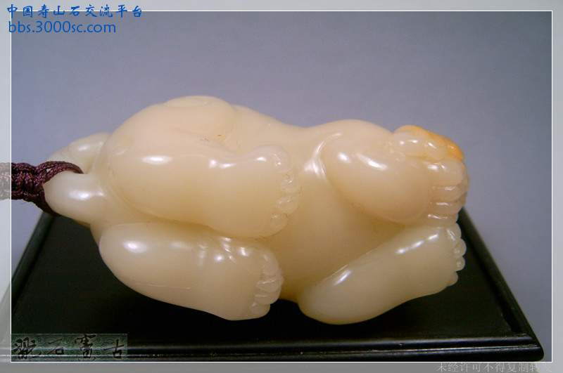 SUC39530.jpg