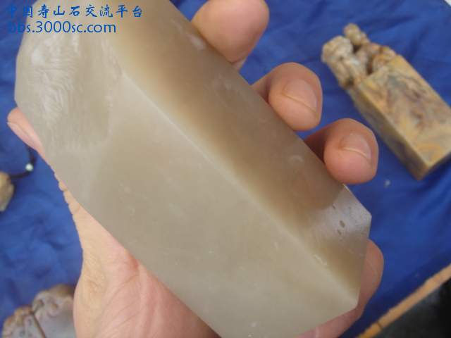 DSC04915.JPG