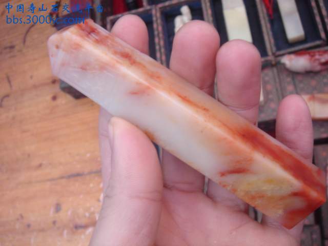DSC04925.JPG