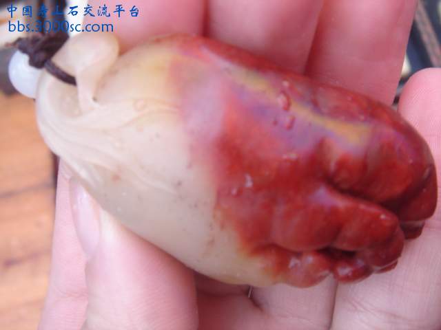 DSC04929.JPG
