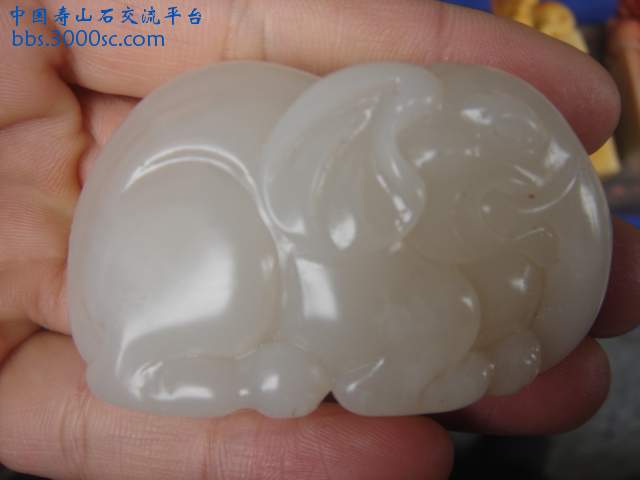 DSC04931.JPG