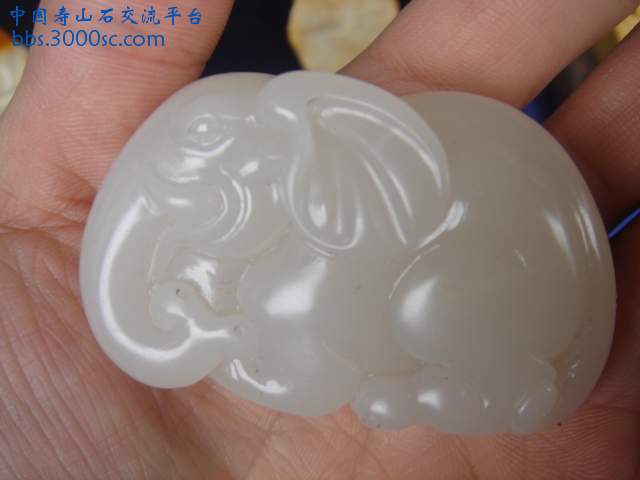DSC04932.JPG