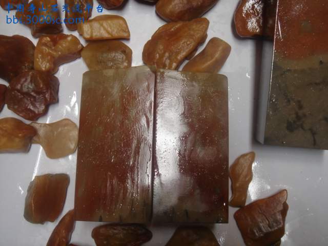 DSC04875.JPG